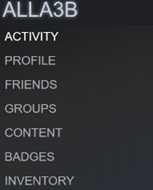 القائمة المنبثقة لمنصة Steam:
Profile