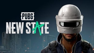 PUBG New State